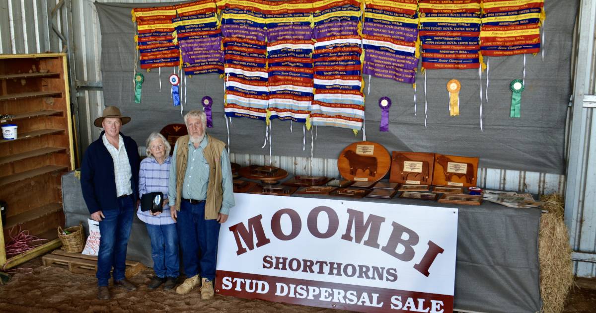 Moombi Shorthorn stud disperses its females to five states