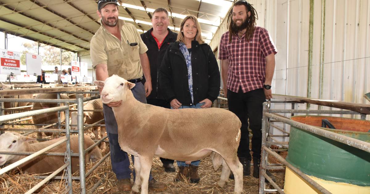 Dinninup ram sale makes $2000 twice and a $1186 average | Farm Weekly