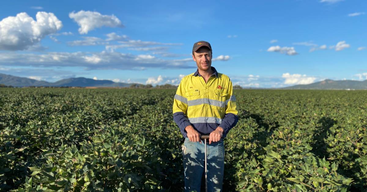 Gunnedah farmer Sam Conway takes home prestigious Rabobank award