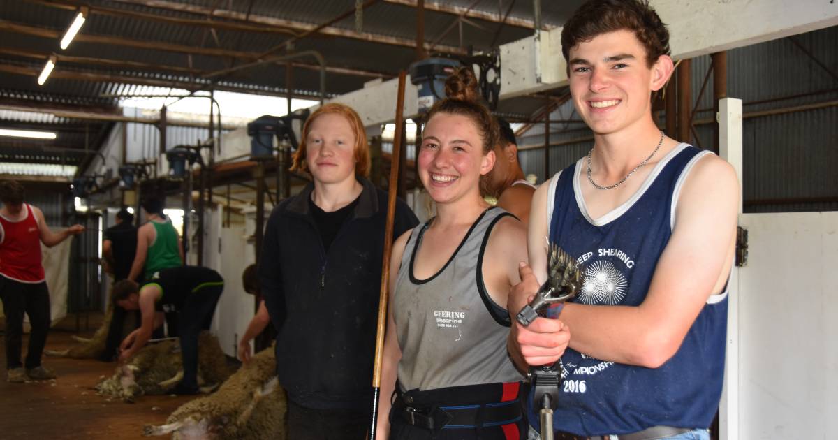 SA shearing schools fully booked, enquiries for 2023