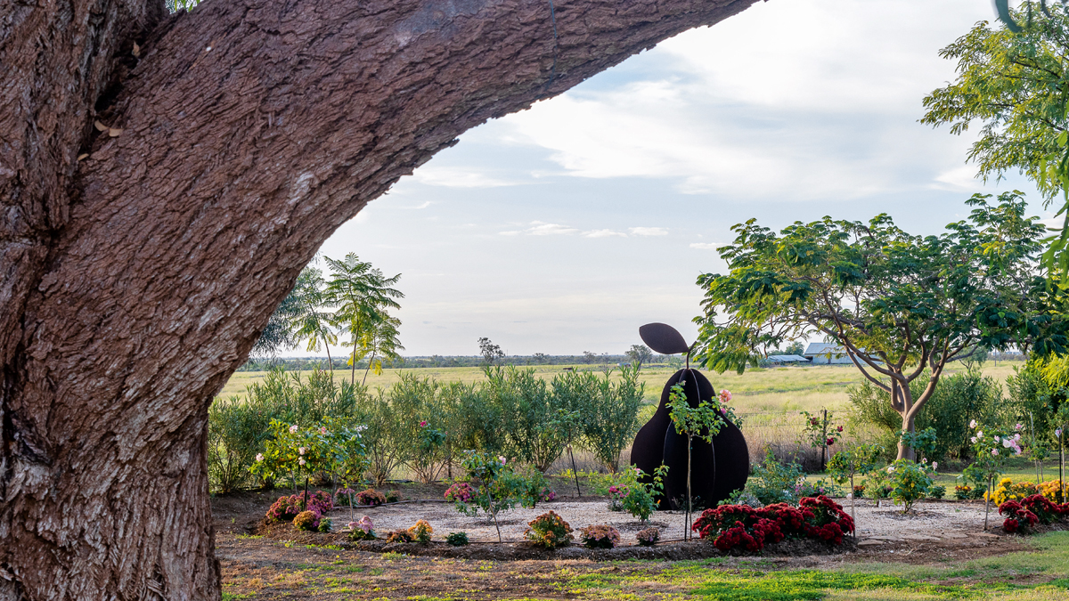 A Homestead Garden Oasis – Australian Country