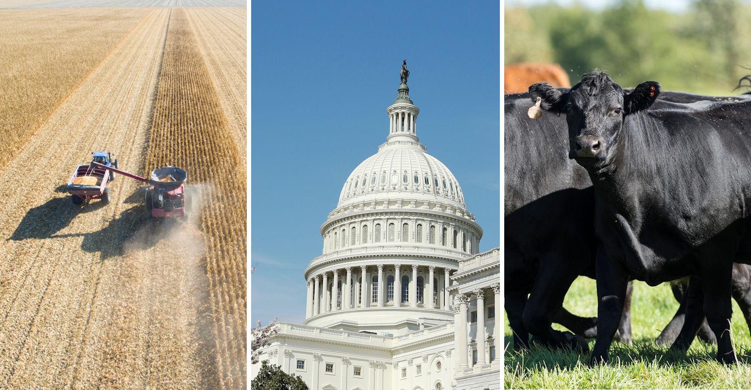 7 ag stories you may have missed