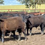 'It's a tough gig': First droughts, now floods, hundreds of farmer's are doing it hard