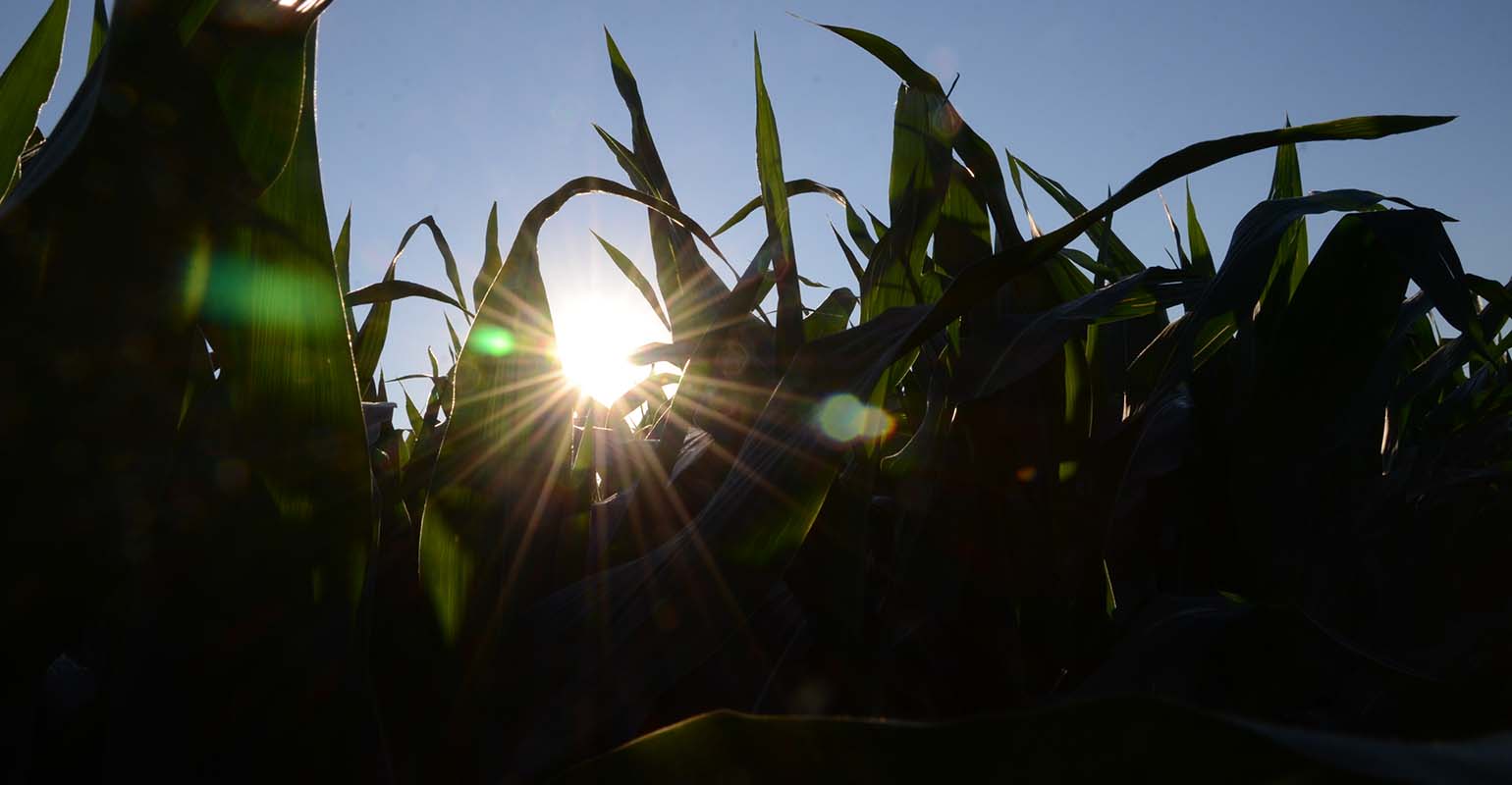 Farm Progress America, October 20, 2022