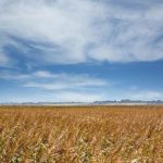 Interior sets $210m for Western drought resilience