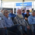 Beef cross steers top $2425 at Boyanup