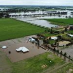 Graziers, growers, teachers among finalists in Queensland Agriculture Awards