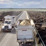 Graziers, growers, teachers among finalists in Queensland Agriculture Awards