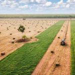 Mount Garnet cattle producer diversifies into first year cotton grower