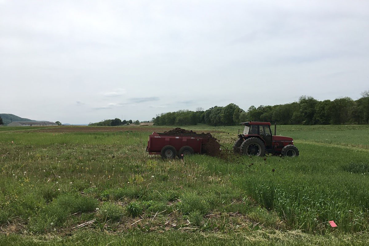 WVU to research effective ways to use manure as organic fertilizer