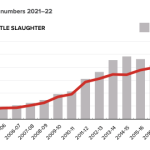 Nationals and beef industry groups at odds on methane pledge ramifications