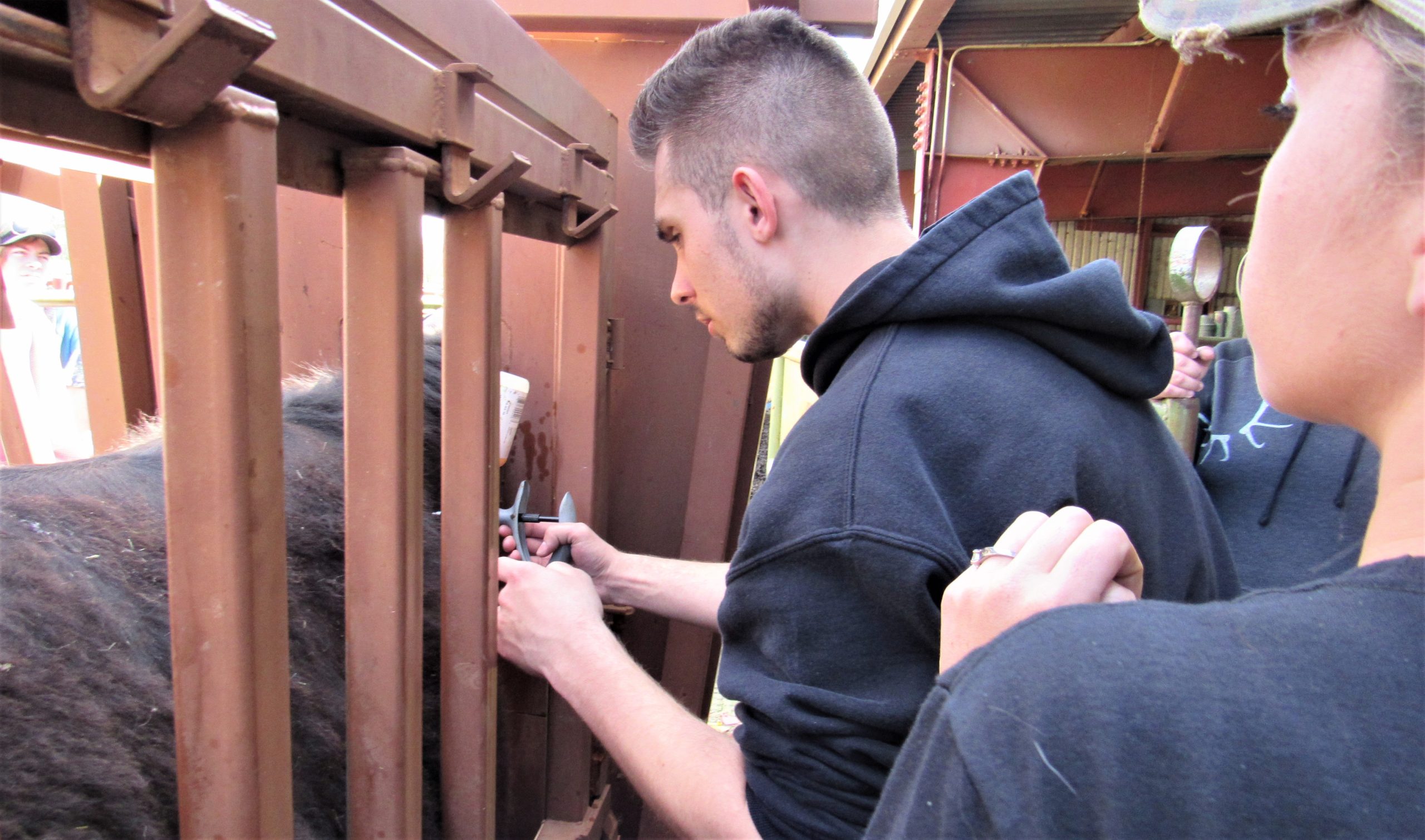 $278m animal health complex to support veterinarians