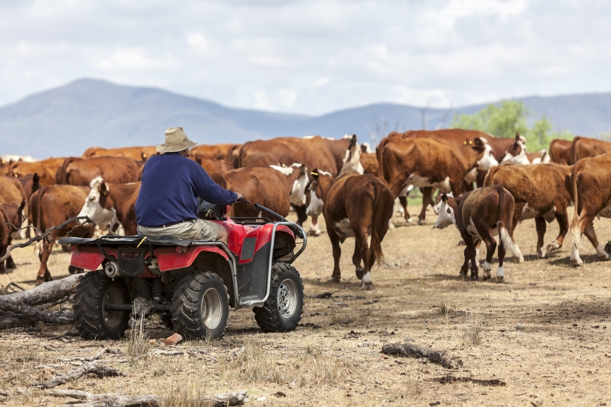 Oklahoma Drought Conditions Worsening | Beef Magazine