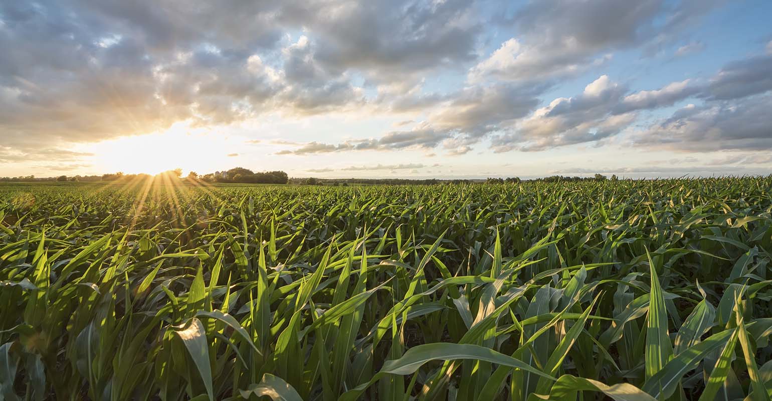 Farm Progress America, October 6, 2022