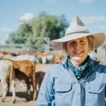 Charolais cross weaner steers reach 794c/$1890 at Roma store sale | Queensland Country Life