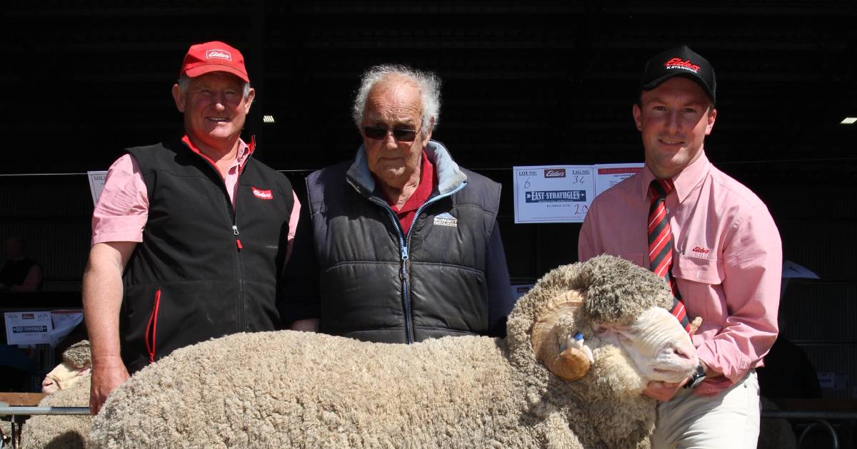 $10,000 high for East Strathglen Merinos, Tambellup | Farm Weekly