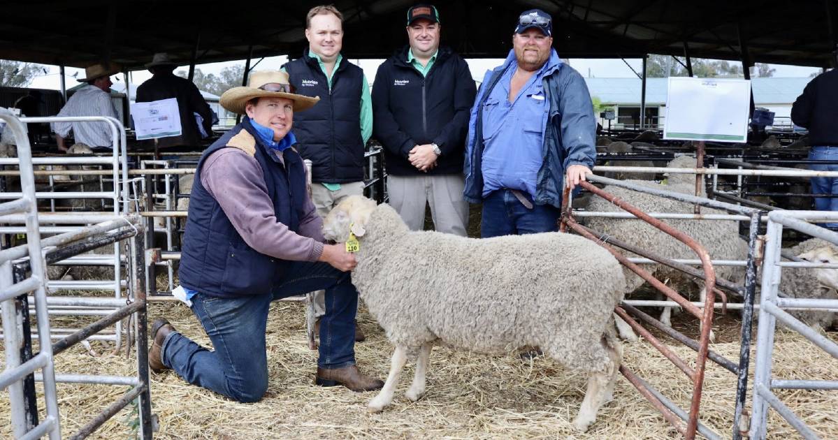 Rams head to multiple states in the Outback MPM sale with a $4000 high