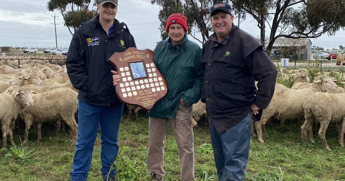 Wet at John Wells Memorial sheep sale Jerilderie