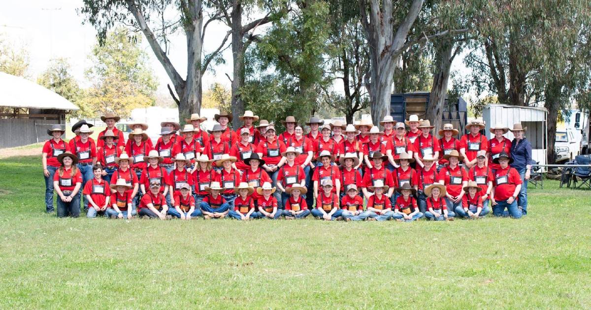 Awards spread far and wide at the 34th National Shorthorn Youth Expo