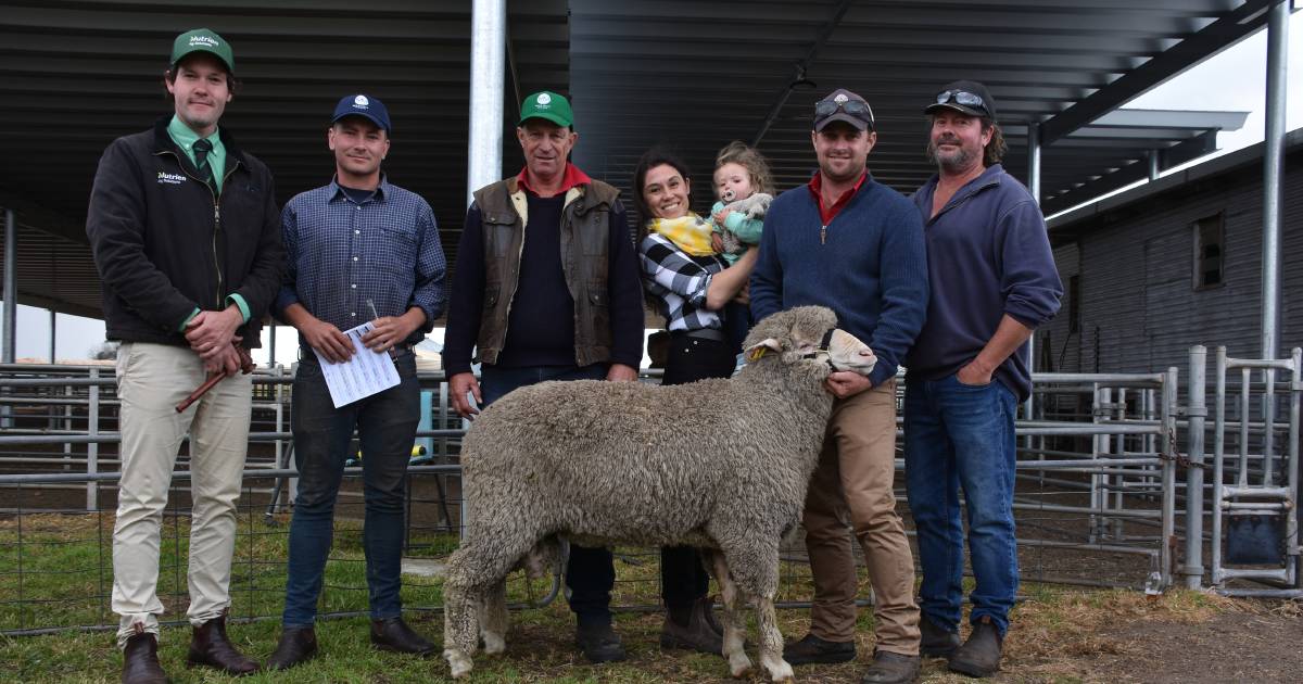 Poll ram makes $14,000 at Moojepin sale