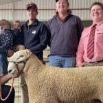 Historic hay-making machines up for vintage display