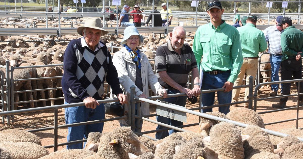 Wickepin ewes make $248 in the Nutrien Livestock two-day circuit sheep sale | Farm Weekly