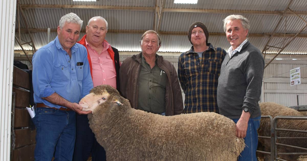 Solid bidding throughout Woodanilling sale