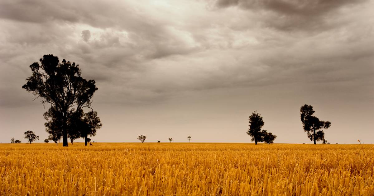 Rain and floods ravage east coast crops