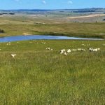 Children discover the world of agriculture