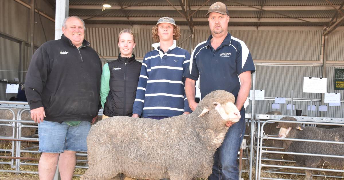 Lukin Springs sale sets new $5900 record