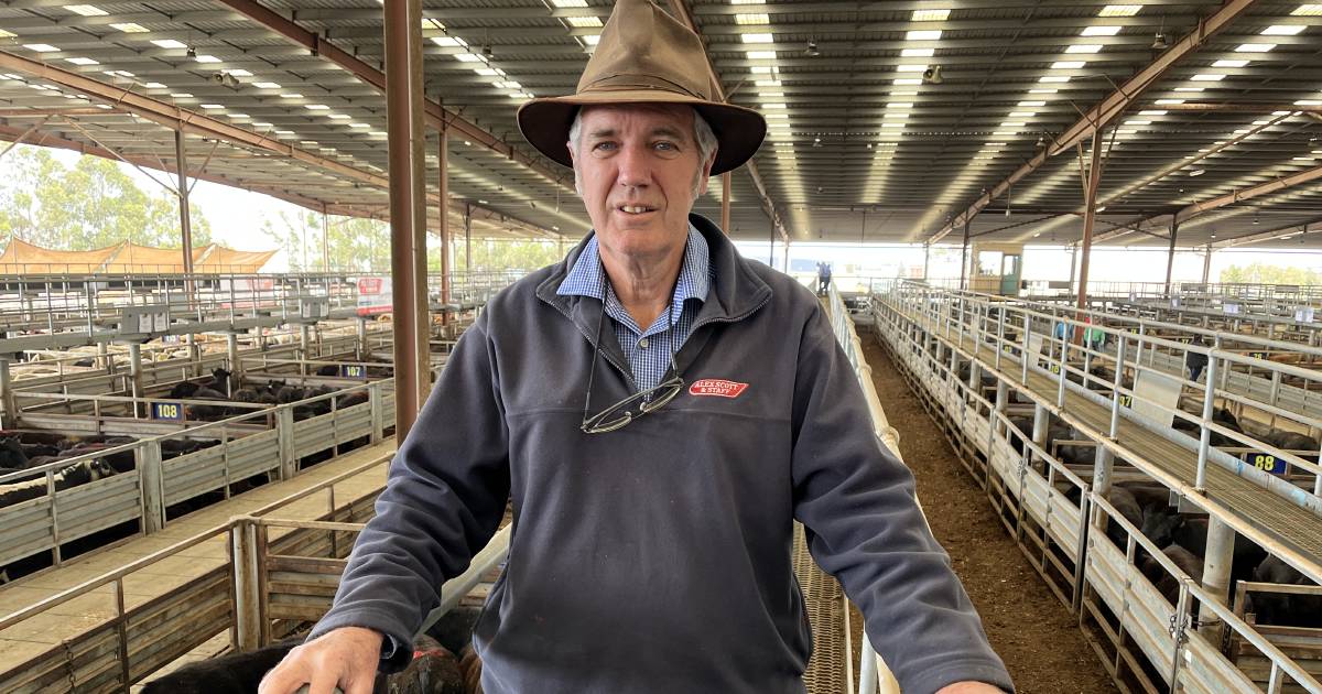 From Bairnsdale to Goondiwindi: Stock agent Les Ingram retires