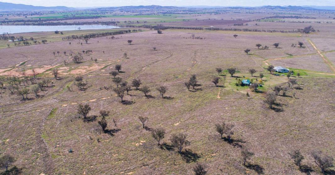 Sky Ranch sold at auction | Video