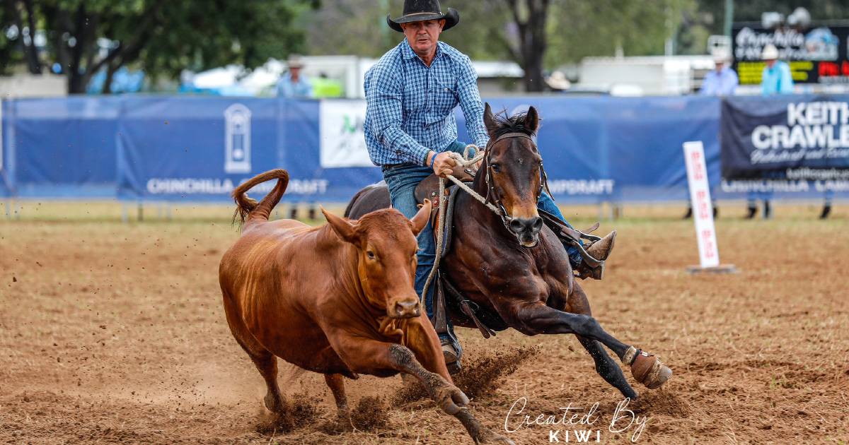 Ben Hall wins Chinchilla Grandfather Clock campdraft, closes in on Triple Crown | Queensland Country Life