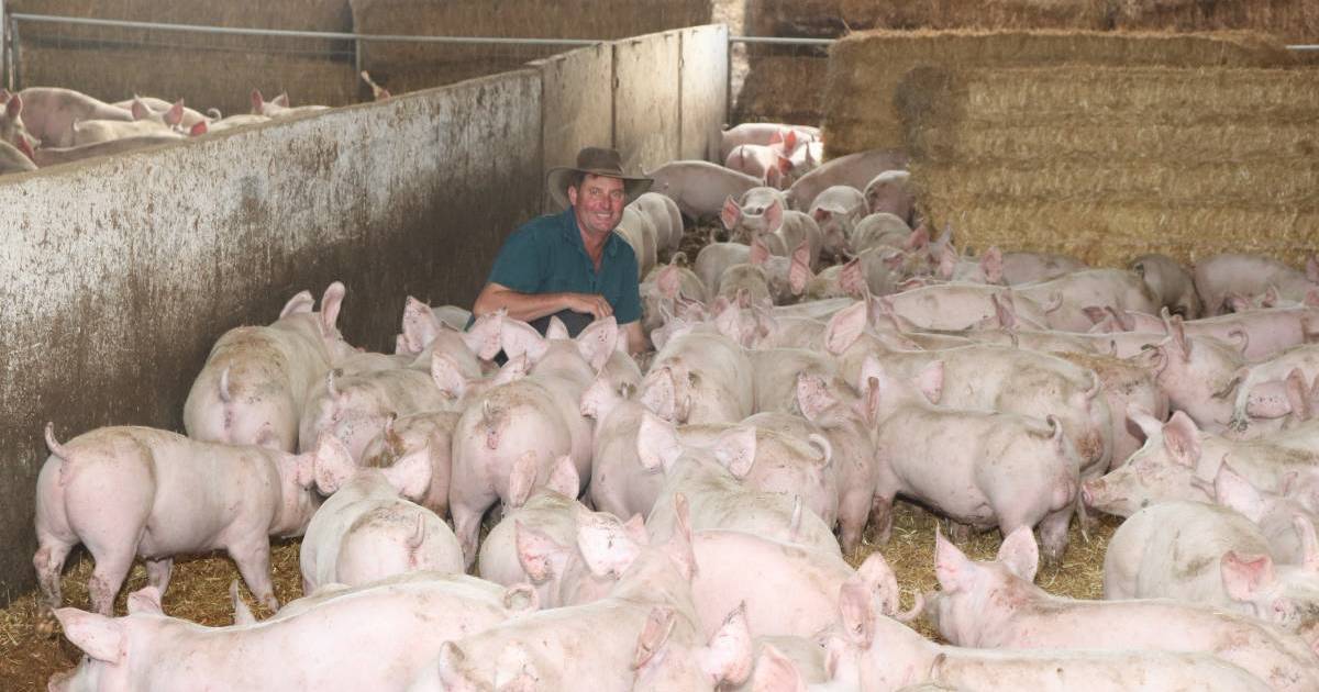 Concerns raised at pork industry meeting