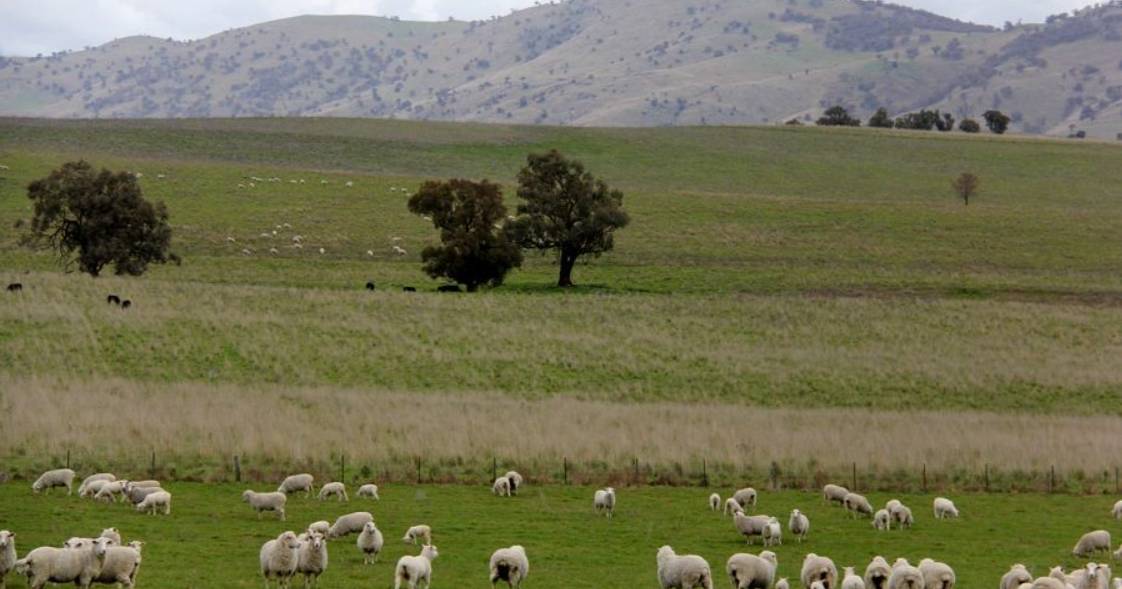 Southern Tablelands country makes $8046/acre