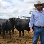 Southern Cross rams sell to $2000 | The Land