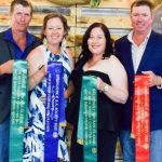 Simmental cross bullocks return $3263/head at Clermont Beef Expo Sale | Queensland Country Life