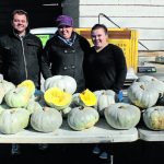 Kalgoorlie vermin cell build underway