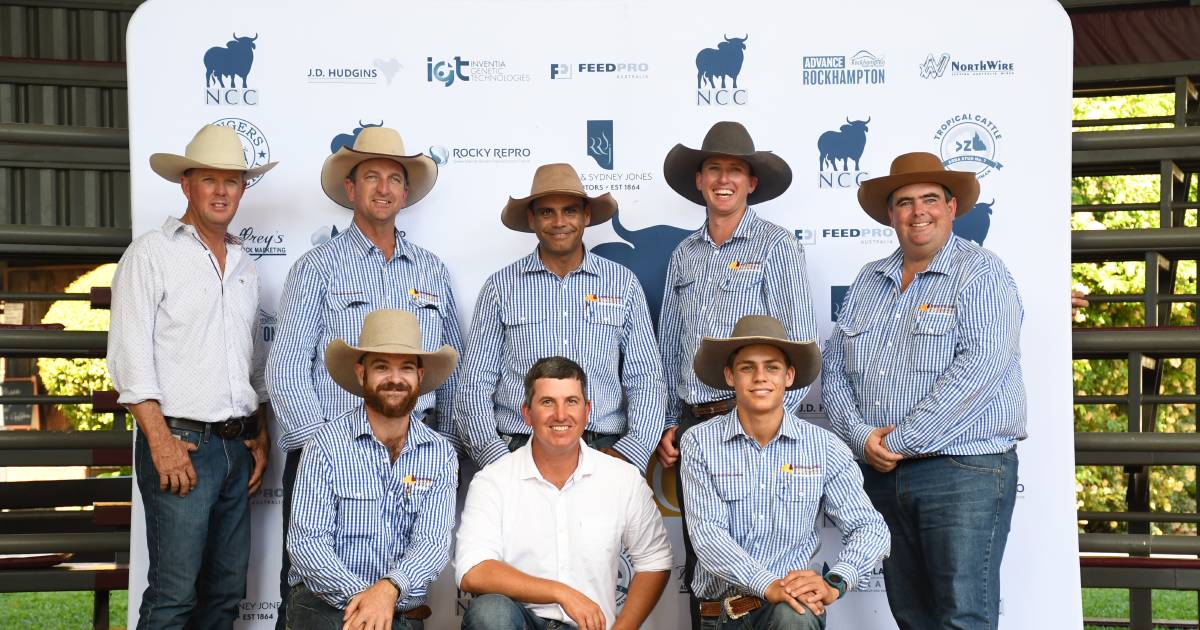 Nobbs Cattle Co cracks $170,000 top price | Queensland Country Life