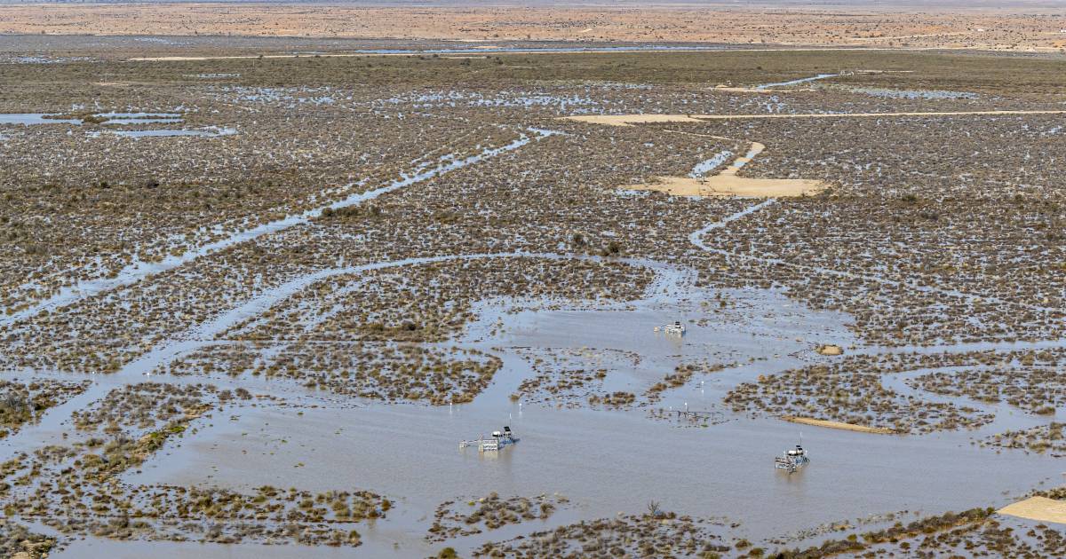 Regulation of expanding Lake Eyre Basin gas industry criticised in new report | Queensland Country Life