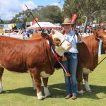 Babanginy Australian Whites sells to $4100