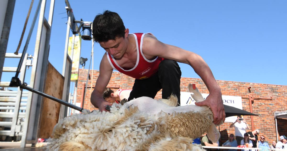 Shearing challenge raises funds for Westpac chopper