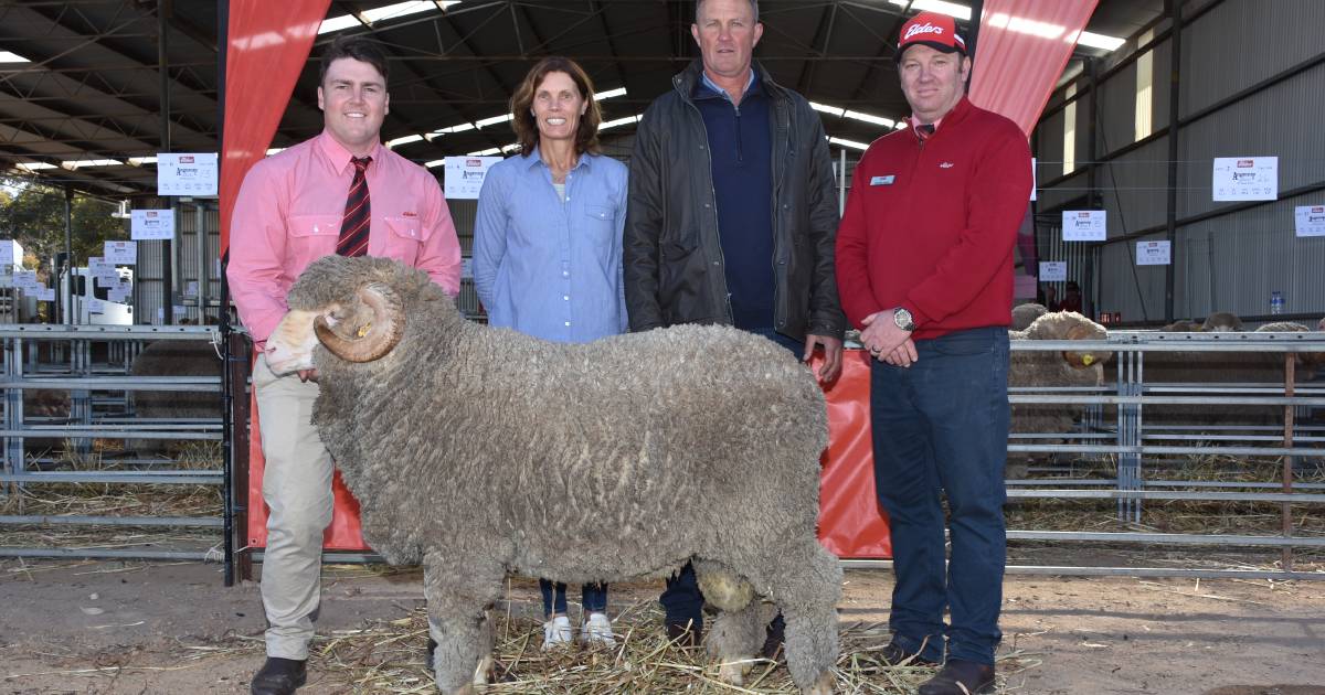 Merino rams top $5500 at Angenup 45th annual on-property ram sale at Kojonup | Farm Weekly