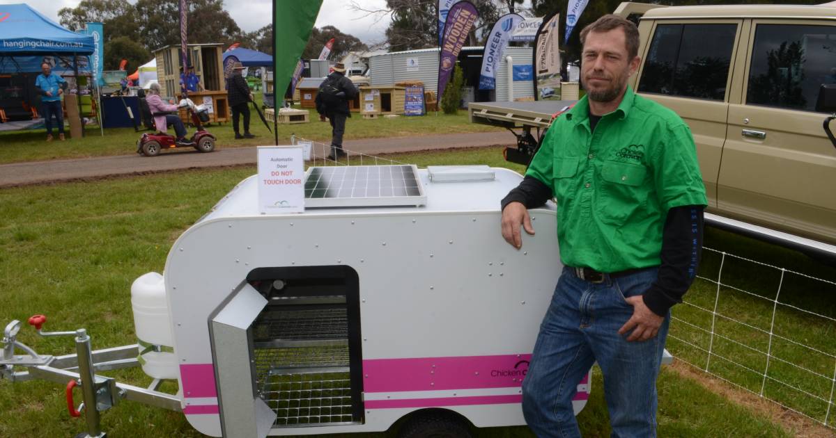 'Set and forget': The automated chicken caravans run entirely from solar power