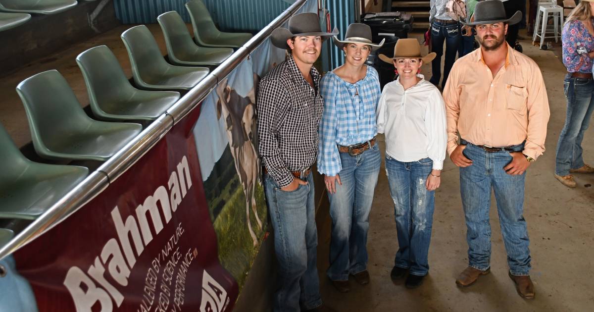 Brahman breeders youth committee launched at Rockhampton Brahman Week Sale