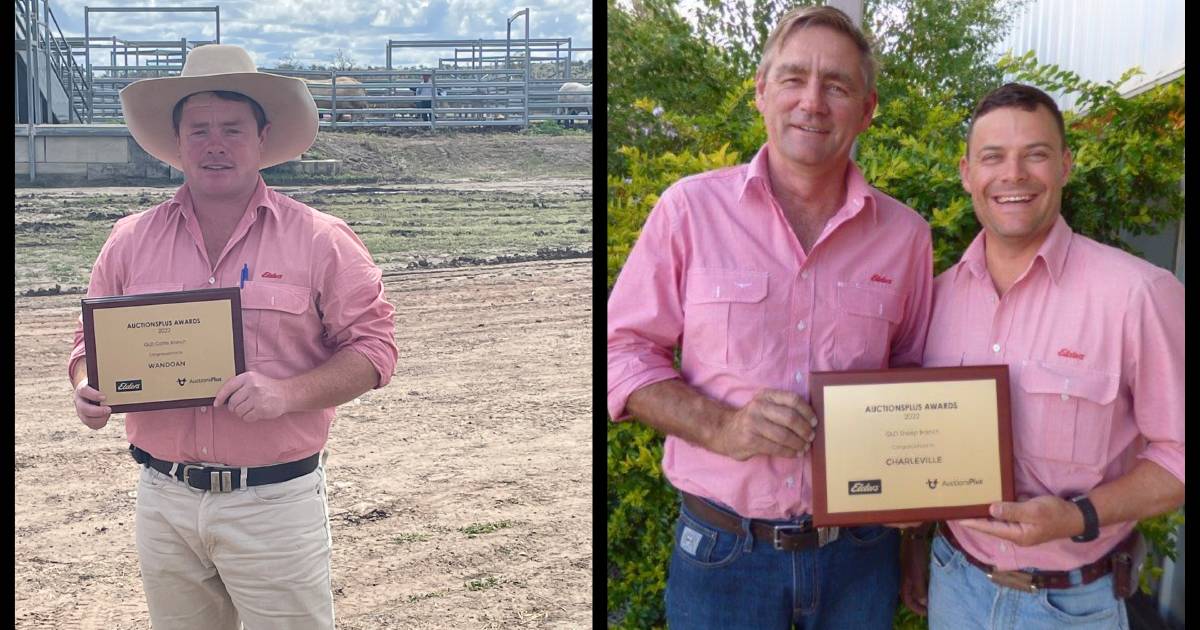 Wandoan, Charleville take Elders AuctionsPlus 2022 awards | Queensland Country Life