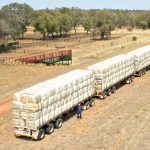 No horses, no worries as skies clear for Lockhart Picnic Races