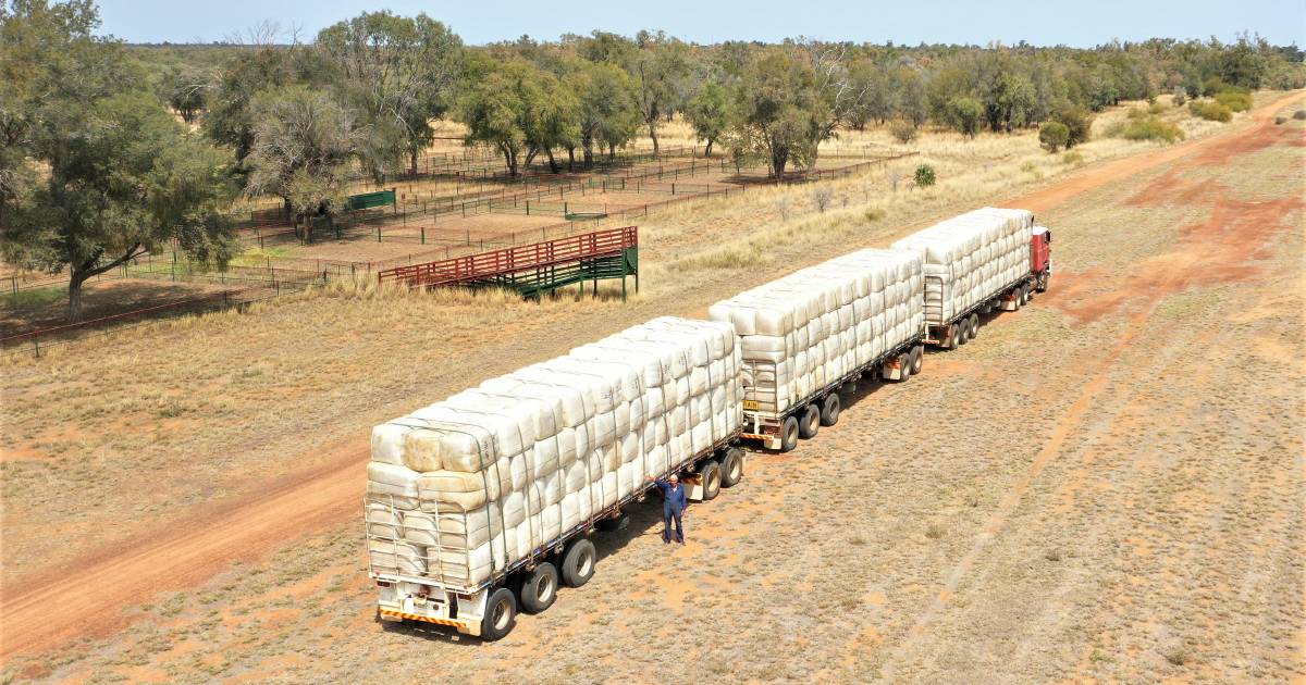 Nev Noske funeral details released as prime mover joins Lights on the Hill convoy | Queensland Country Life