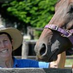 Surrey Farm sold at auction