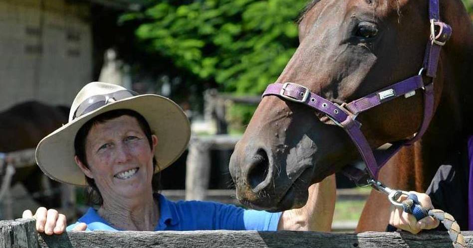 Quality field of Thoroughbreds for Emerald 100 | Queensland Country Life